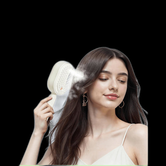Brosse à Vapeur Électrique