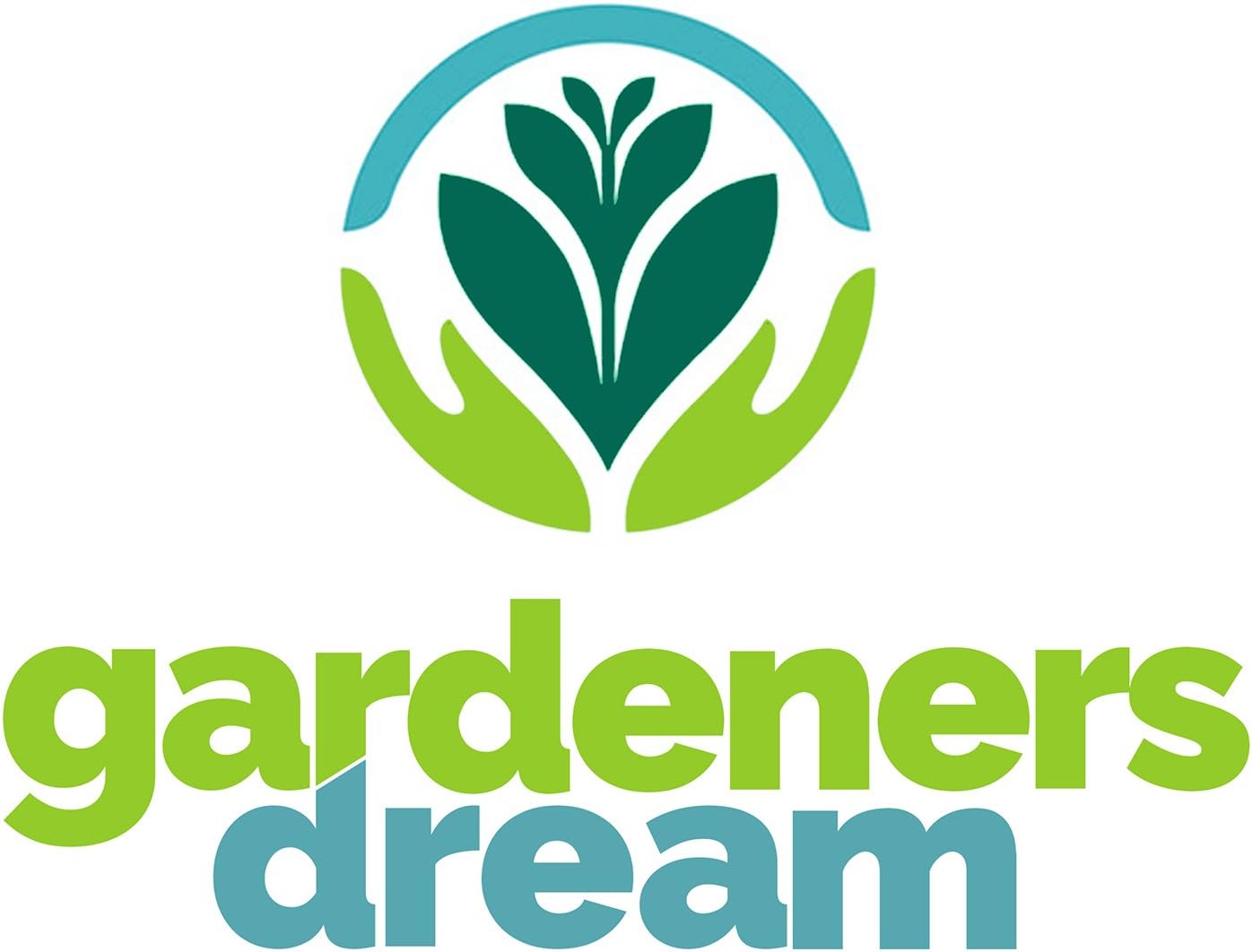 CLÉMATITES RAINBOW 4 PLANTES 4 COULEURS MÉLANGE PLANTES À FLEURS POUR DÉCOR JARDIN