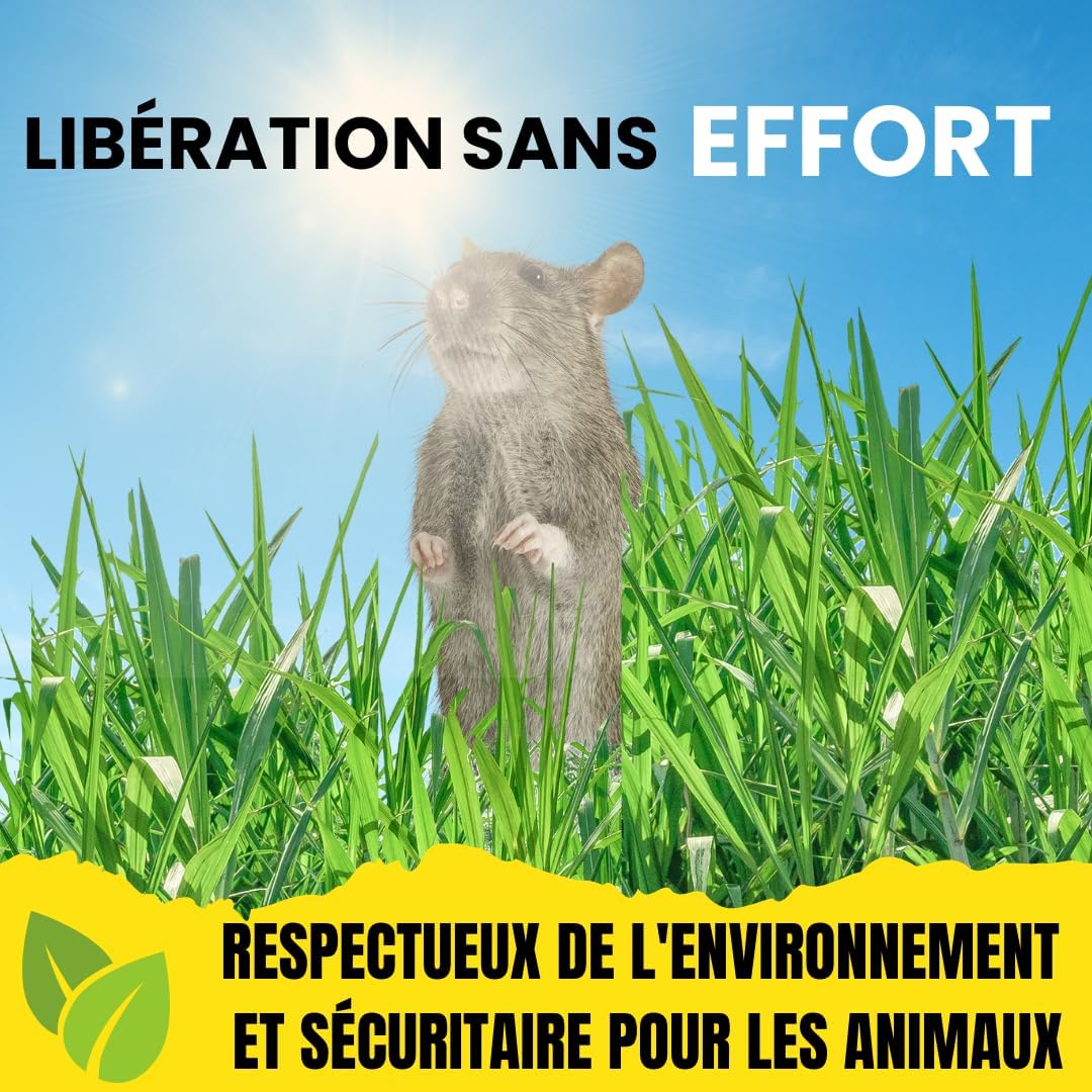 Piège à Souris Vivante - Attrape Souris Humain et Réutilisables avec Trou d'air sans Mécanisme - Installation Facile Maison, Garage, Grenier Jardin - Vert - 2 Pièces