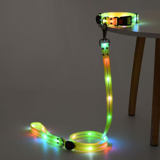 Ensemble de 2 pièces;: collier et laisse lumineux à LED