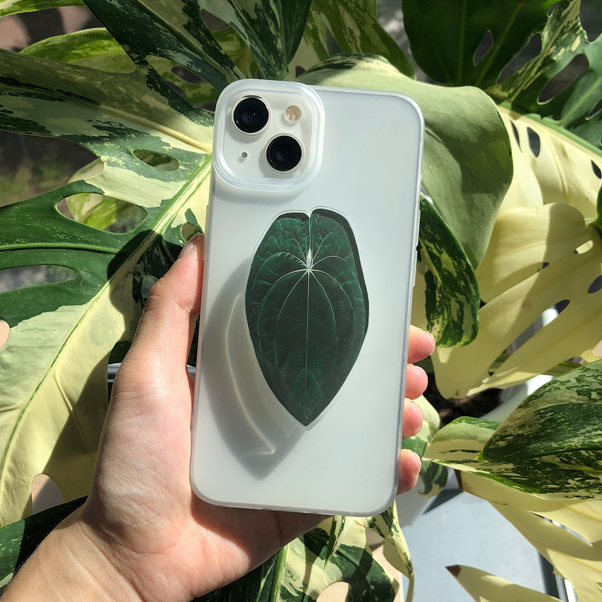 Support de téléphone en forme de feuille de plante tropicale