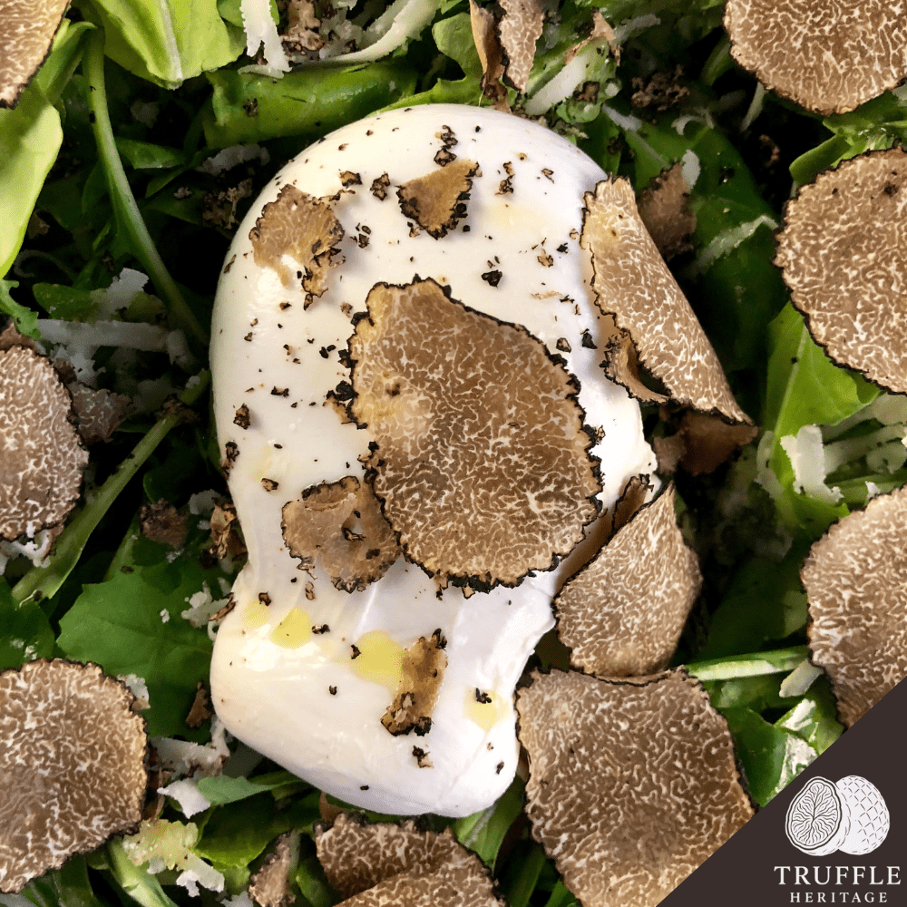 Tranches de Truffes Noires d'Hiver Déshydratées ◈ 50 grammes ◈ Truffe 100% Naturelle ◈ Qualité Premium ◈ Sans additifs ou conservateurs ◈ Séchage à Air Basse Température = Saveurs Préservées & Longue Conservation ◈ Réhydratation Rapide : Moins de 10 Minutes