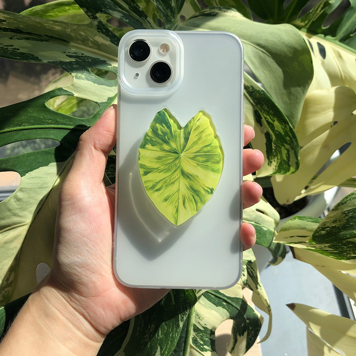 Support de téléphone en forme de feuille de plante tropicale
