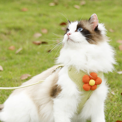 Gilet de Poitrine pour animaux de compagnie