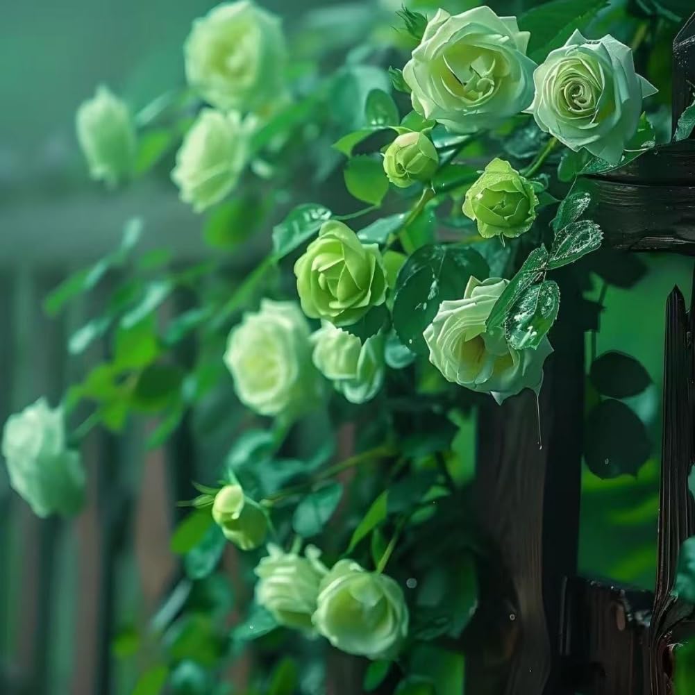 Lot de 1000 graines de rose grimpante de vigne, graines de rose grimpante pour la plantation en plein air clôtures de jardin, pergolas et treillis, vigne longue floraison (T)