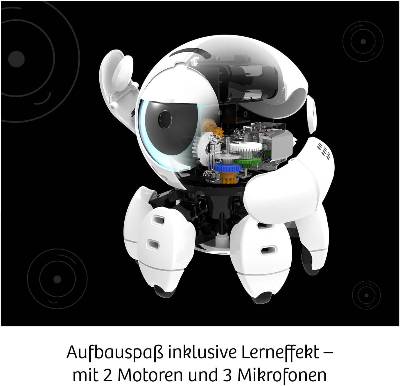 Kosmos Bitsy - Armoires d'expérimentation