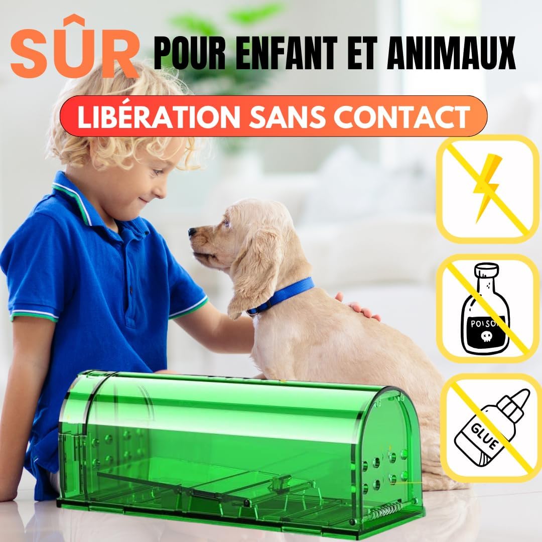 Piège à Souris Vivante - Attrape Souris Humain et Réutilisables avec Trou d'air sans Mécanisme - Installation Facile Maison, Garage, Grenier Jardin - Vert - 2 Pièces