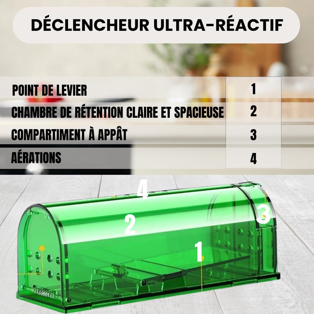 Piège à Souris Vivante - Attrape Souris Humain et Réutilisables avec Trou d'air sans Mécanisme - Installation Facile Maison, Garage, Grenier Jardin - Vert - 2 Pièces