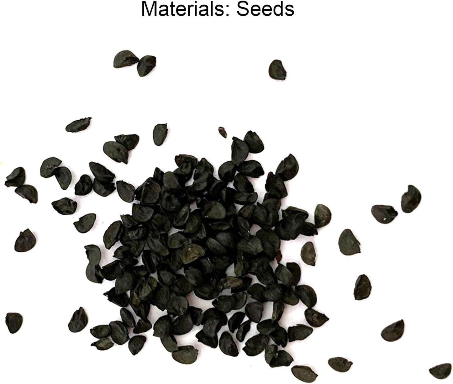 1000 pièces Graines de Hosta, Graines Fleurs à Semer, Graine a Planter, Graines de Fleurs pour Jardin et Balcon, Facile à Cultiver (A)