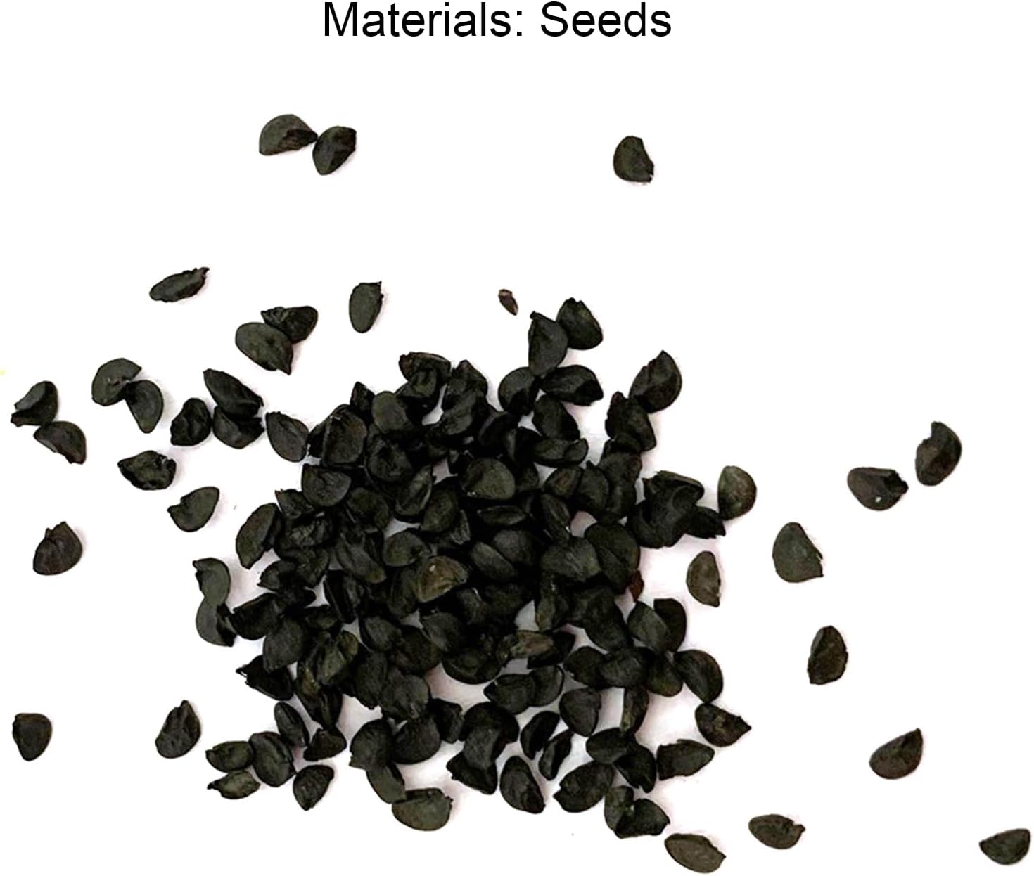 1000 pièces Graines de Hosta, Graines Fleurs à Semer, Graine a Planter, Graines de Fleurs pour Jardin et Balcon, Facile à Cultiver (A)