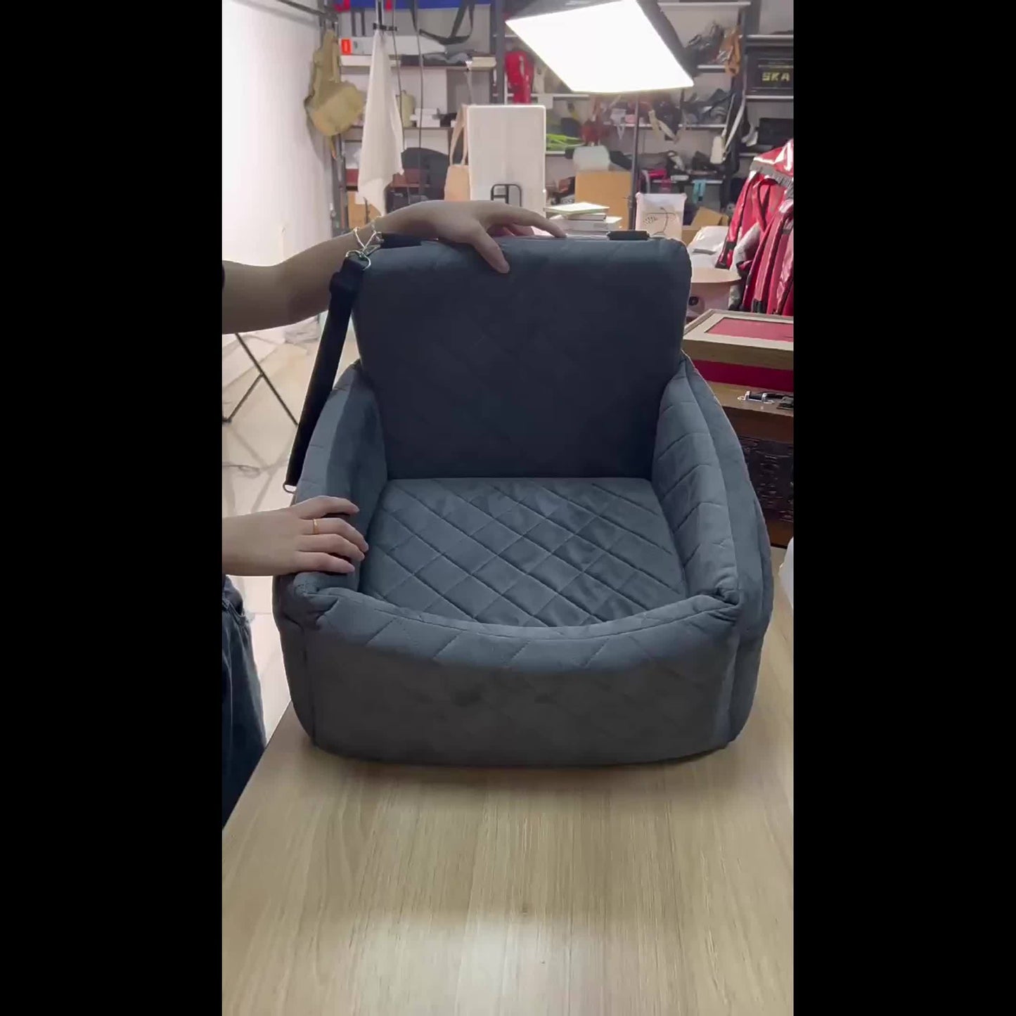 Siège auto portable de luxe pour chien / chat