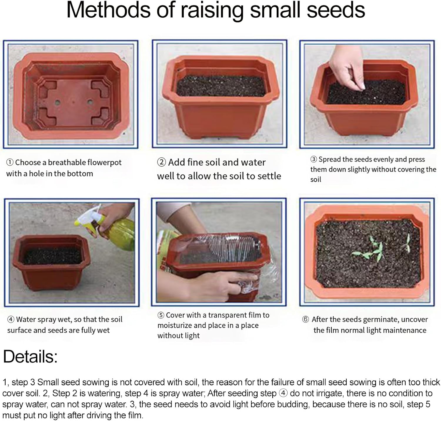 1000 pièces Graines de Hosta, Graines Fleurs à Semer, Graine a Planter, Graines de Fleurs pour Jardin et Balcon, Facile à Cultiver (A)