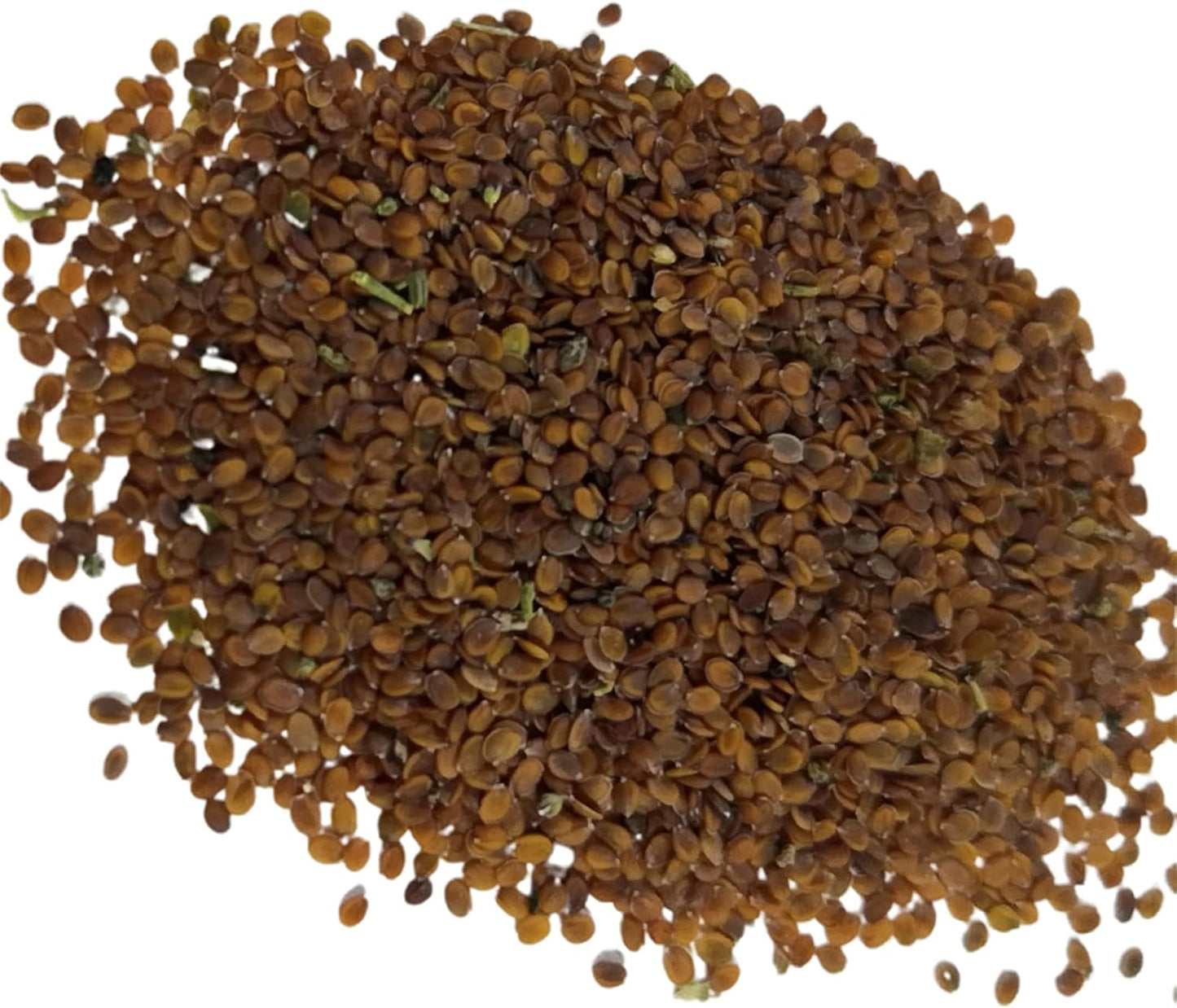 500 Pièces Graines De Cresson De Roche Vivace Couvre-sol Tapis Graines De Fleurs Graines De Plantes à Feuilles Persistantes Pour Jardin Pelouse Parc Décor Bleu