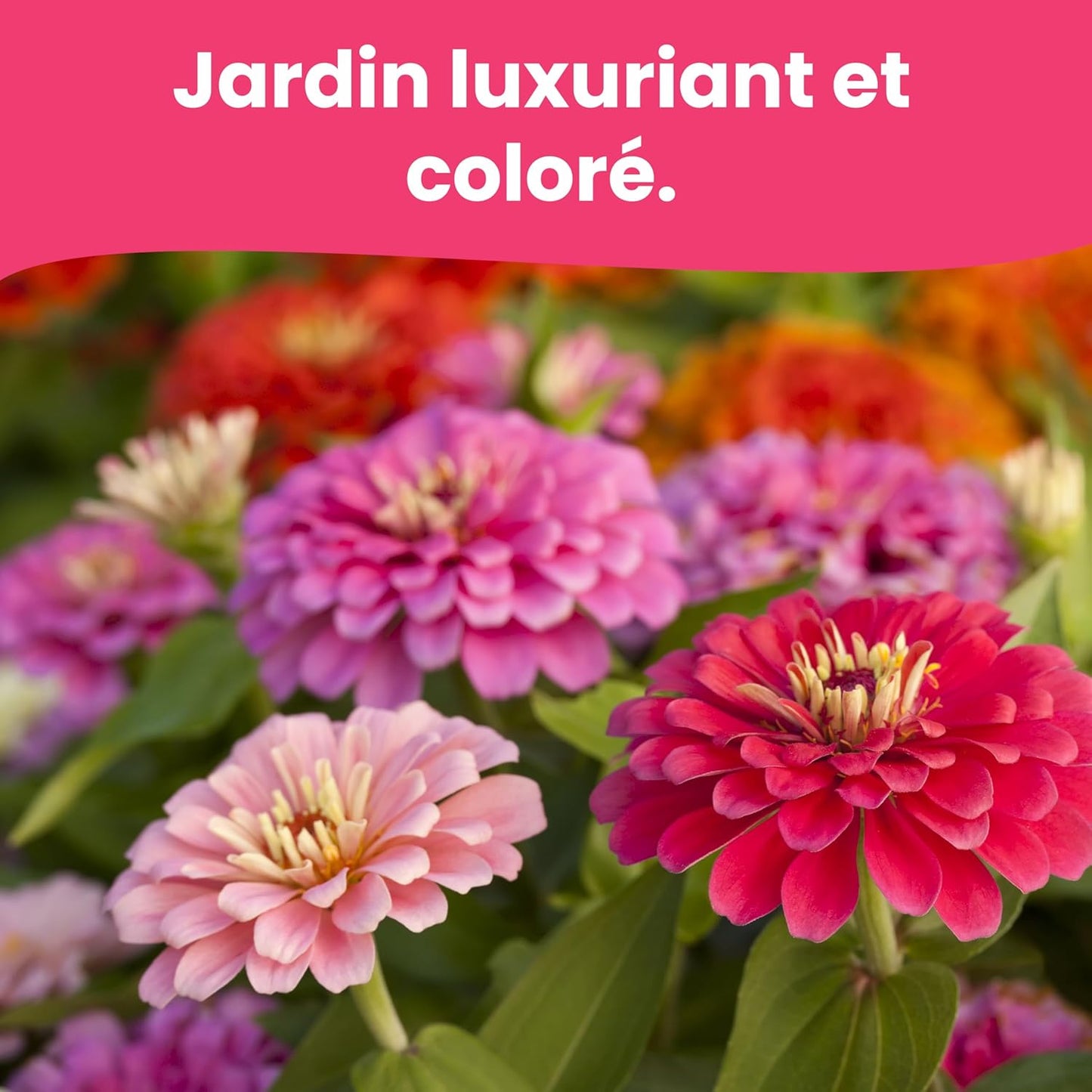 LERAVA Graines fleurs à semer (12 variétés) - graines de fleurs de haute qualité - germination rapide et plantation facile - mélange fleuri pour jardin et balcon - kit de semis made in Italy