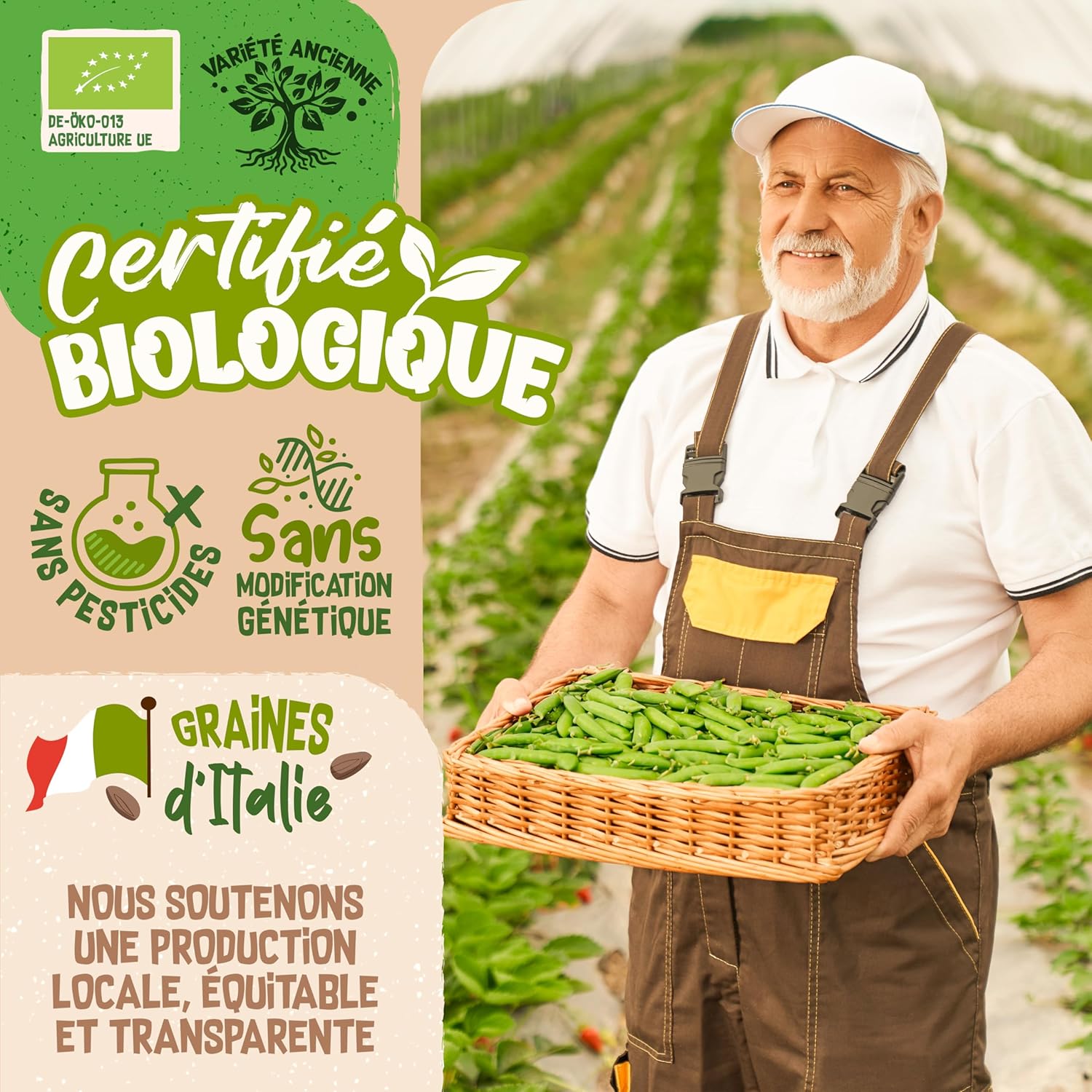 Graines de colza bio - Choisissez entre 10g, 200g et 500g - Graines de colza avec un taux de germination supérieur à 97% - Microgreens