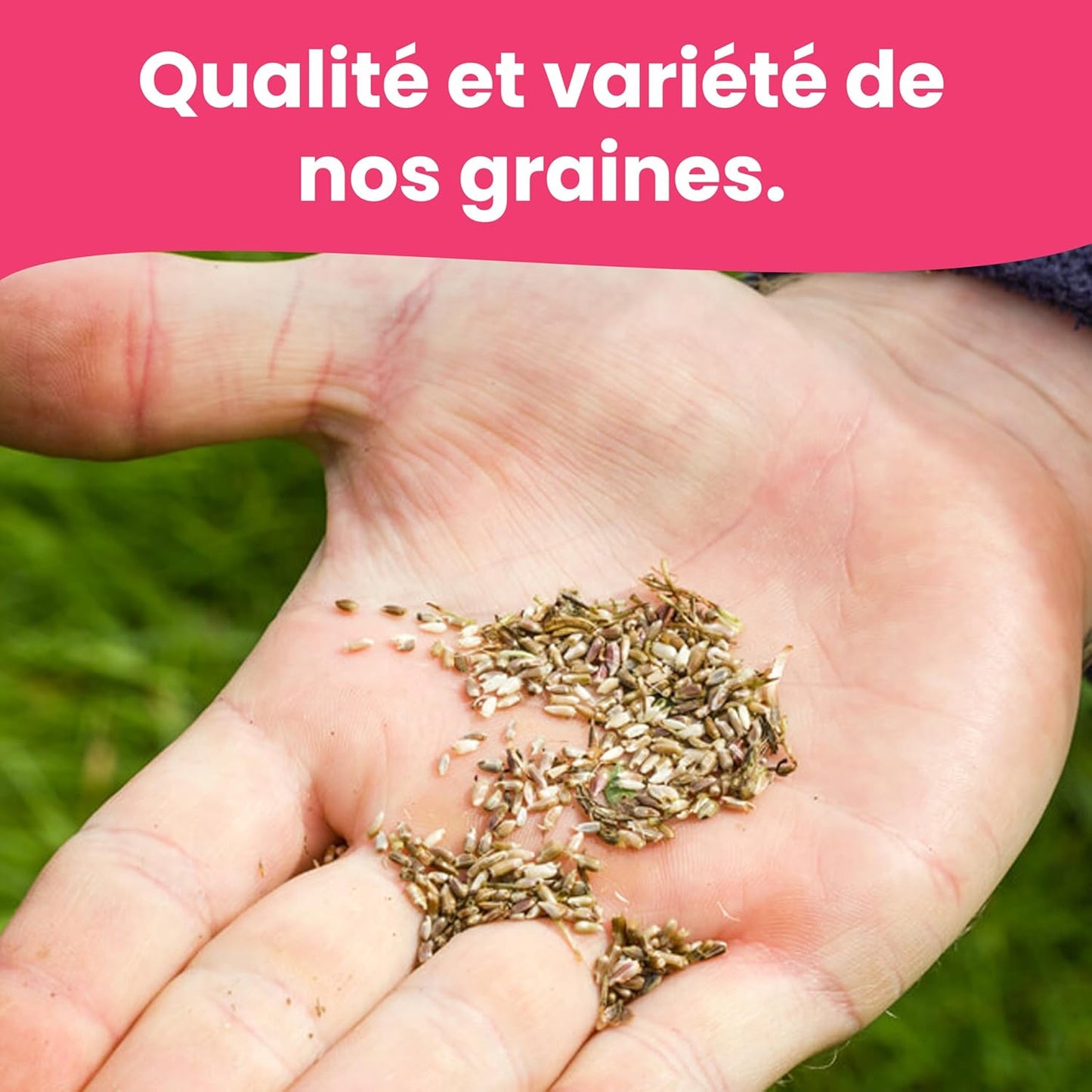 LERAVA Graines fleurs à semer (12 variétés) - graines de fleurs de haute qualité - germination rapide et plantation facile - mélange fleuri pour jardin et balcon - kit de semis made in Italy