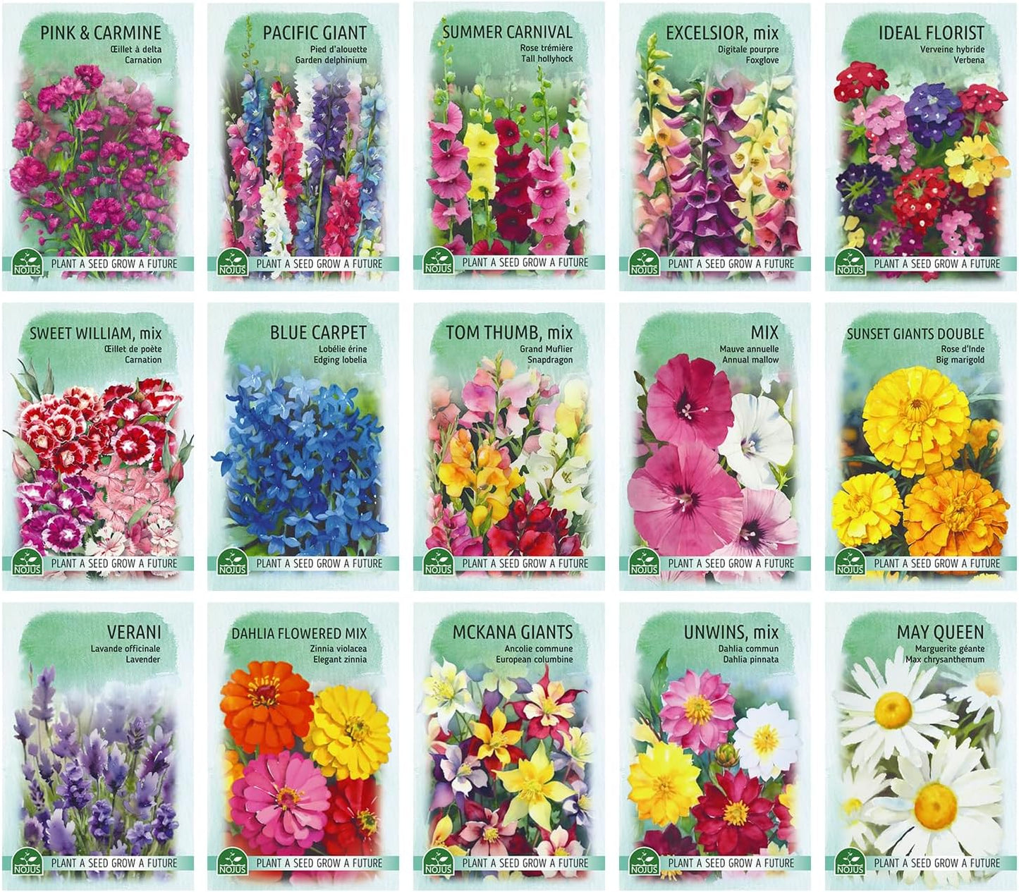Collection de graines de fleurs inspirées de la RHS - 15 variétés de fleurs de jardin, polyvalentes et respectueuses des abeilles