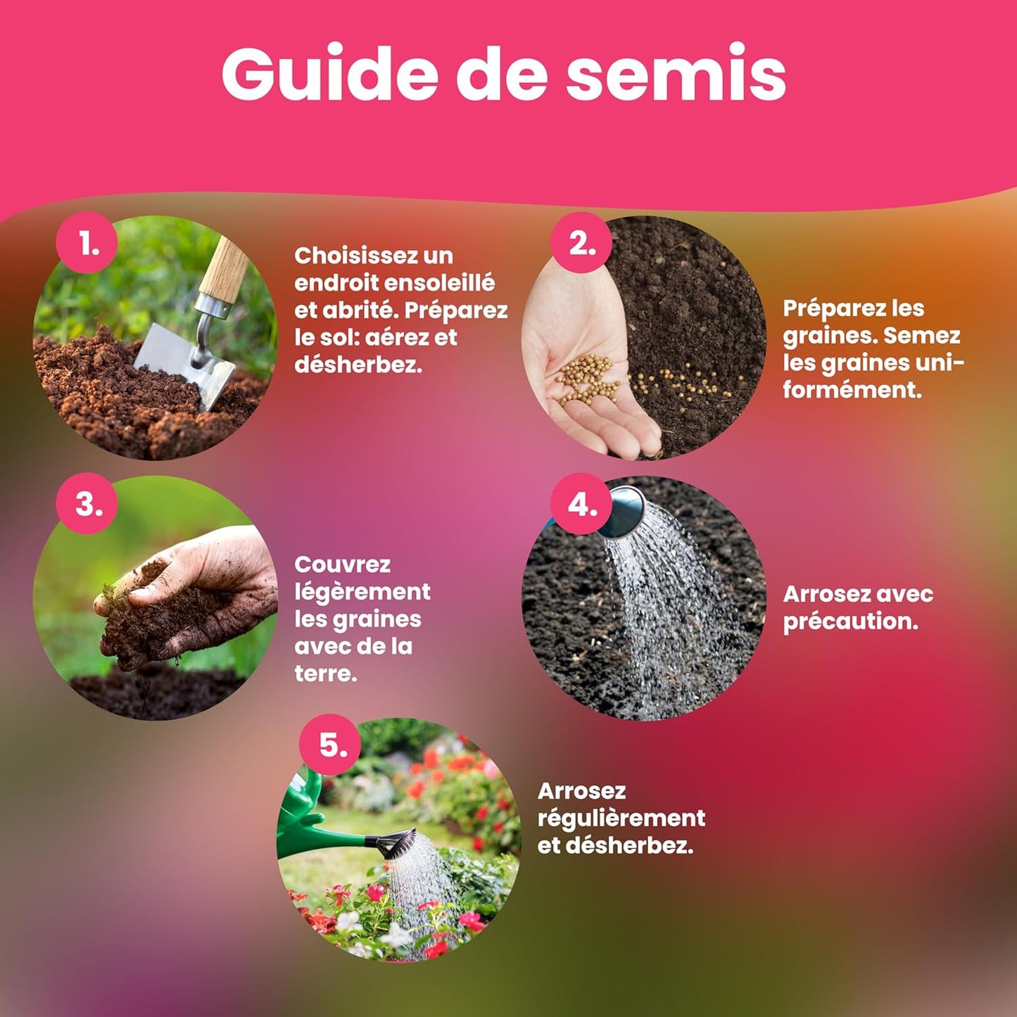 LERAVA Graines fleurs à semer (12 variétés) - graines de fleurs de haute qualité - germination rapide et plantation facile - mélange fleuri pour jardin et balcon - kit de semis made in Italy