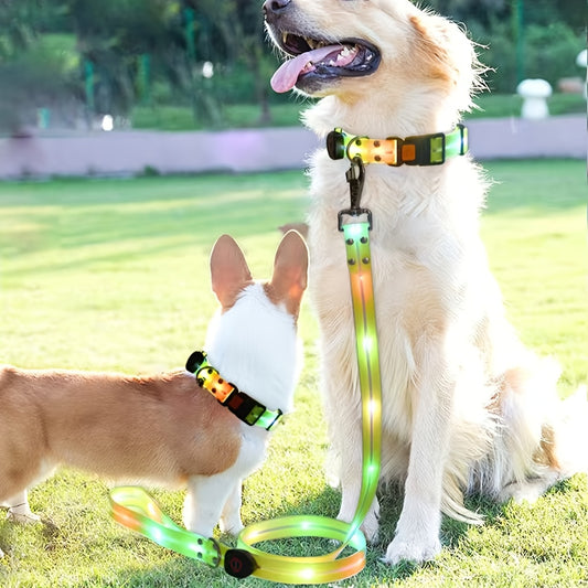 Ensemble de 2 pièces;: collier et laisse lumineux à LED