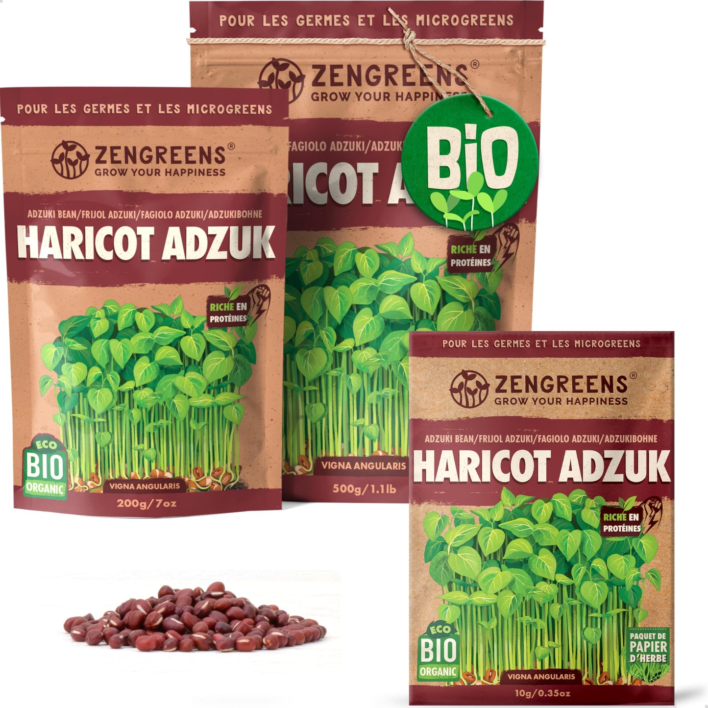 Graines de colza bio - Choisissez entre 10g, 200g et 500g - Graines de colza avec un taux de germination supérieur à 97% - Microgreens