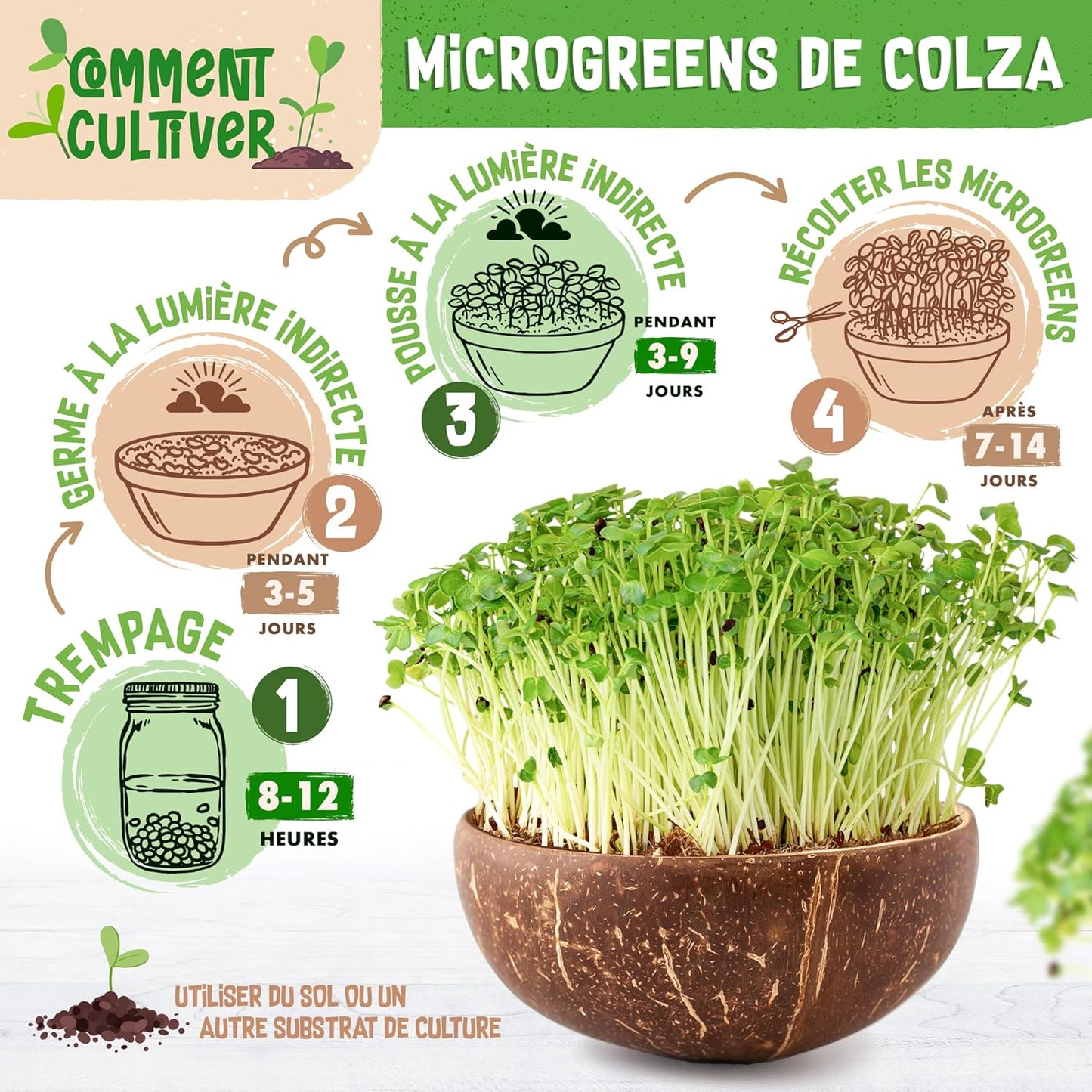 Graines de colza bio - Choisissez entre 10g, 200g et 500g - Graines de colza avec un taux de germination supérieur à 97% - Microgreens
