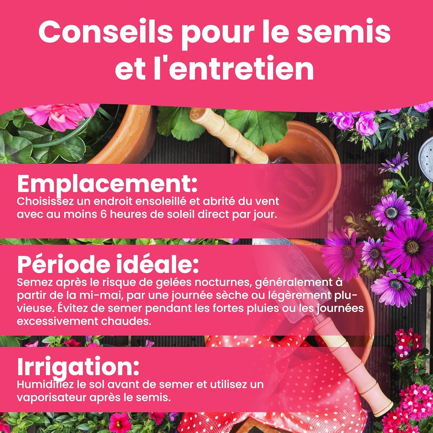 LERAVA Graines fleurs à semer (12 variétés) - graines de fleurs de haute qualité - germination rapide et plantation facile - mélange fleuri pour jardin et balcon - kit de semis made in Italy