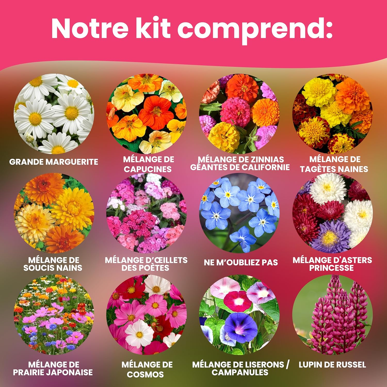 LERAVA Graines fleurs à semer (12 variétés) - graines de fleurs de haute qualité - germination rapide et plantation facile - mélange fleuri pour jardin et balcon - kit de semis made in Italy