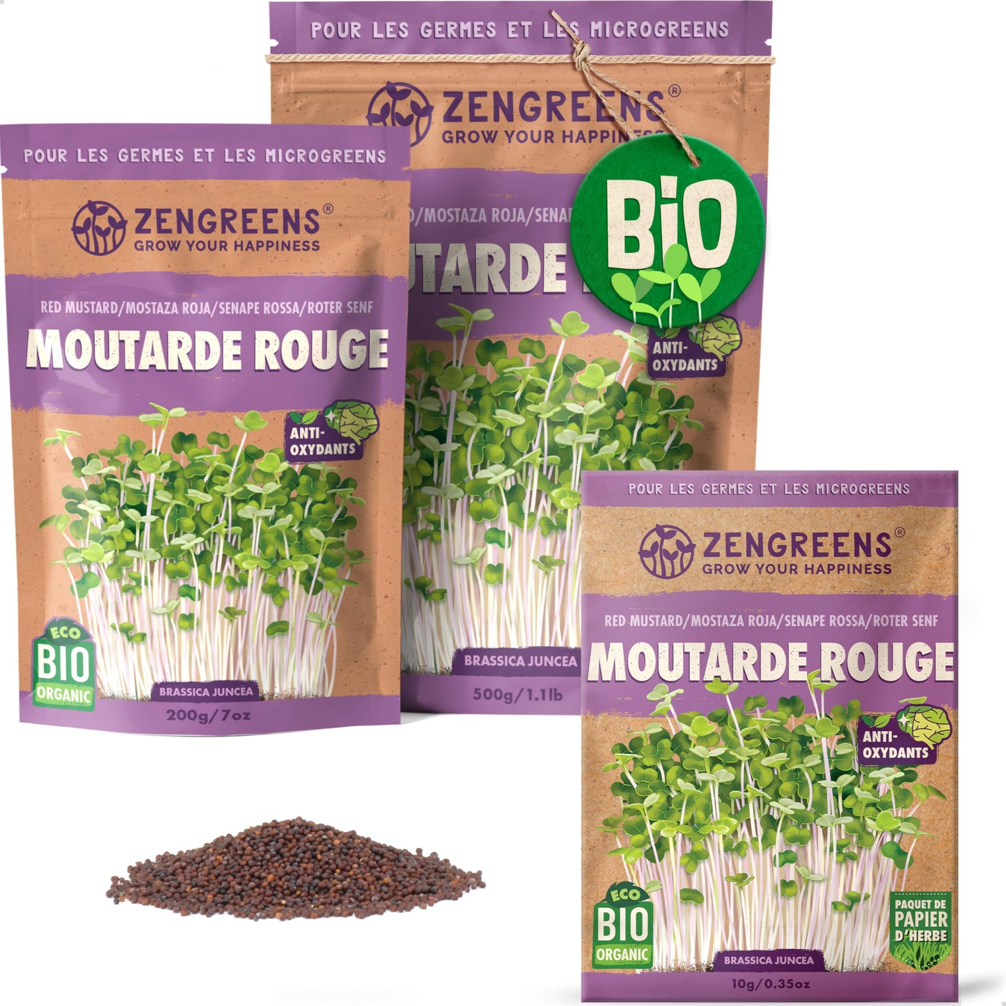 Graines de colza bio - Choisissez entre 10g, 200g et 500g - Graines de colza avec un taux de germination supérieur à 97% - Microgreens