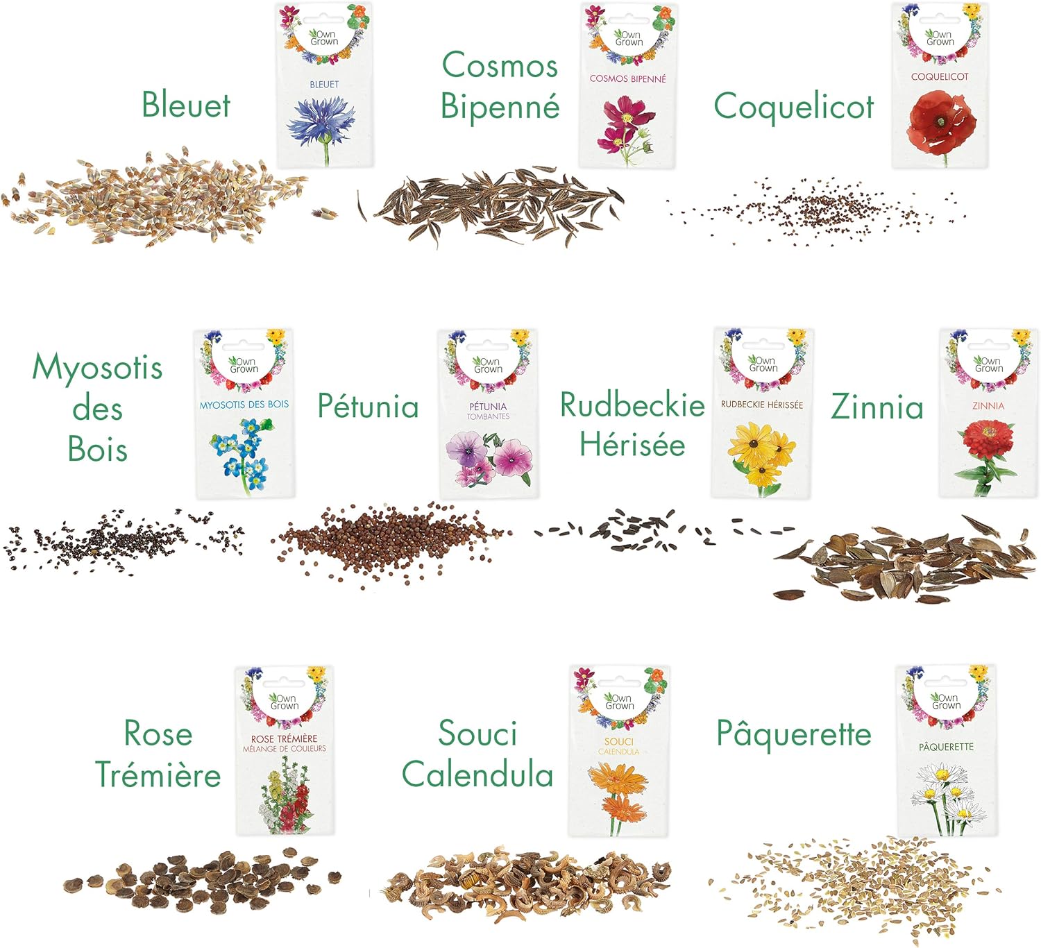 10 variétés de semences de fleurs et de fleurs comestibles - Kits prêt-à-pousser de plante pour le jardin et le balcon extérieur par OwnGrown