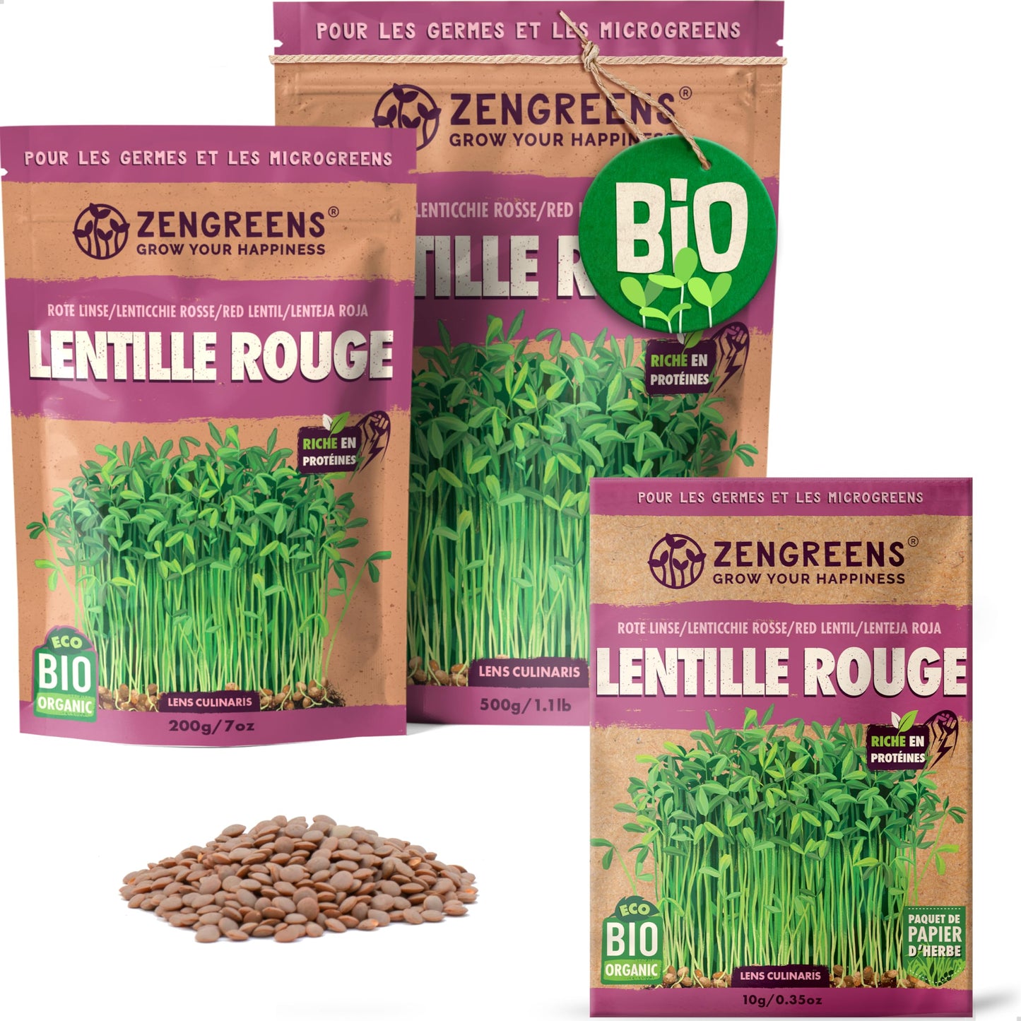Graines de colza bio - Choisissez entre 10g, 200g et 500g - Graines de colza avec un taux de germination supérieur à 97% - Microgreens