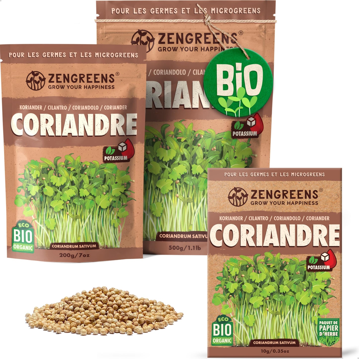 Graines de colza bio - Choisissez entre 10g, 200g et 500g - Graines de colza avec un taux de germination supérieur à 97% - Microgreens