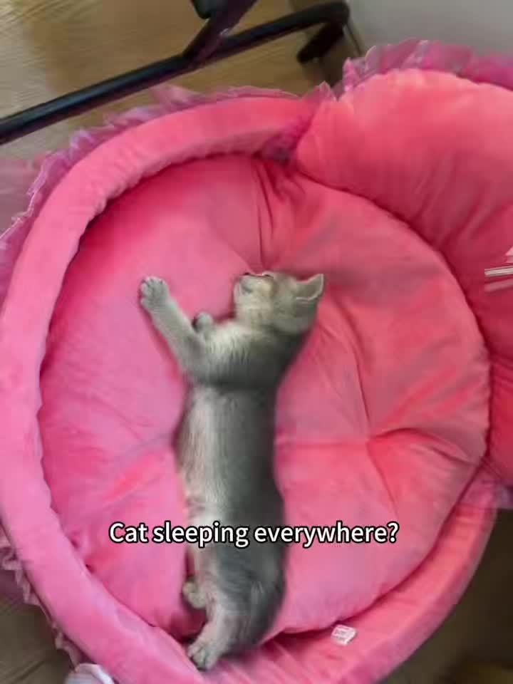 Lit douillet toutes saisons pour chats et chiens - Nid-canapé lavable en peluche