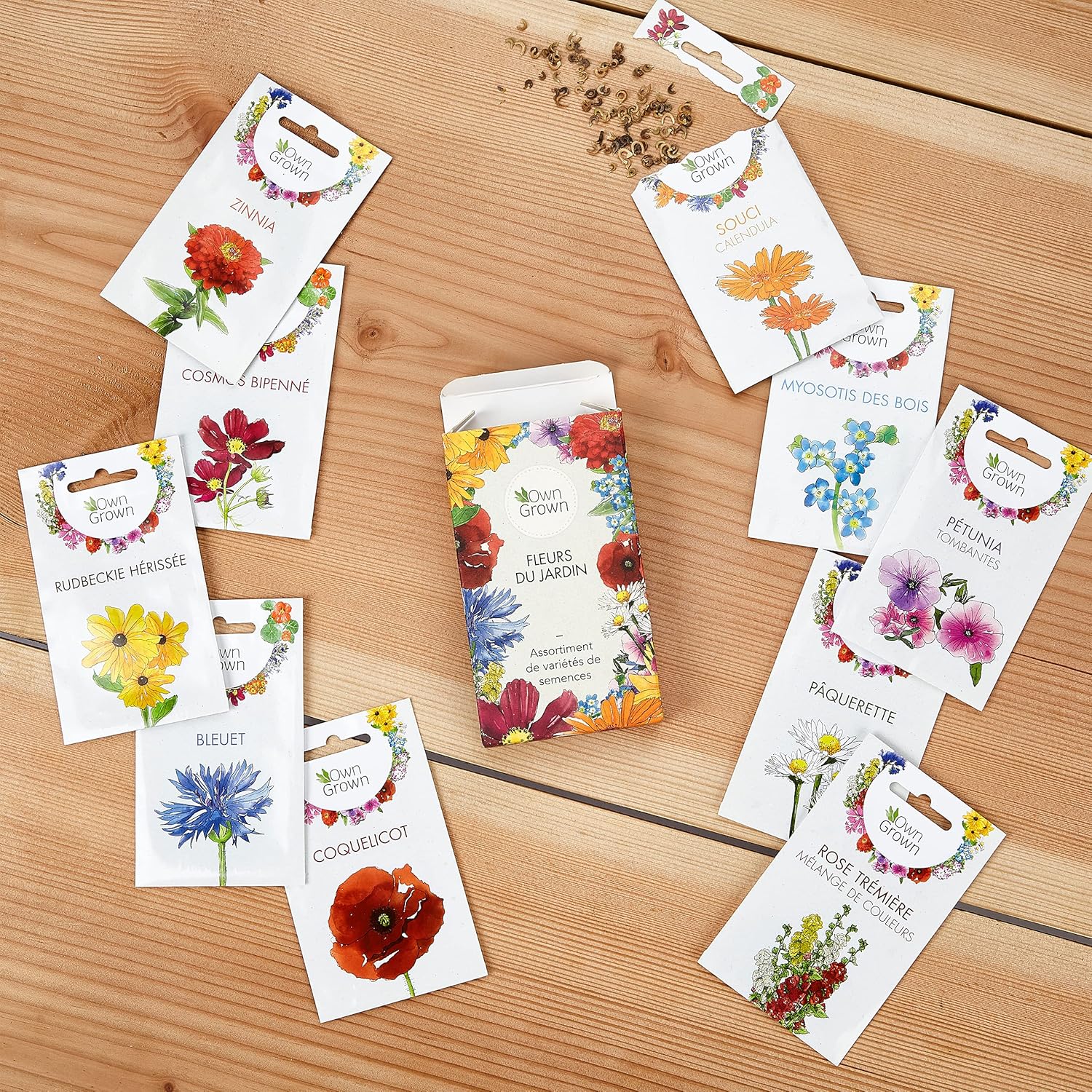 10 variétés de semences de fleurs et de fleurs comestibles - Kits prêt-à-pousser de plante pour le jardin et le balcon extérieur par OwnGrown