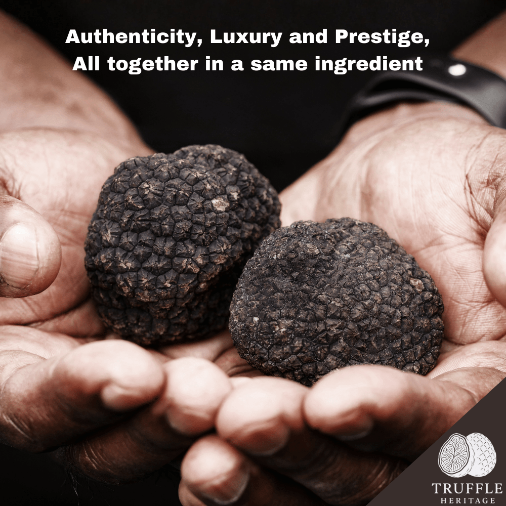 Tranches de Truffes Noires d'Hiver Déshydratées ◈ 50 grammes ◈ Truffe 100% Naturelle ◈ Qualité Premium ◈ Sans additifs ou conservateurs ◈ Séchage à Air Basse Température = Saveurs Préservées & Longue Conservation ◈ Réhydratation Rapide : Moins de 10 Minutes